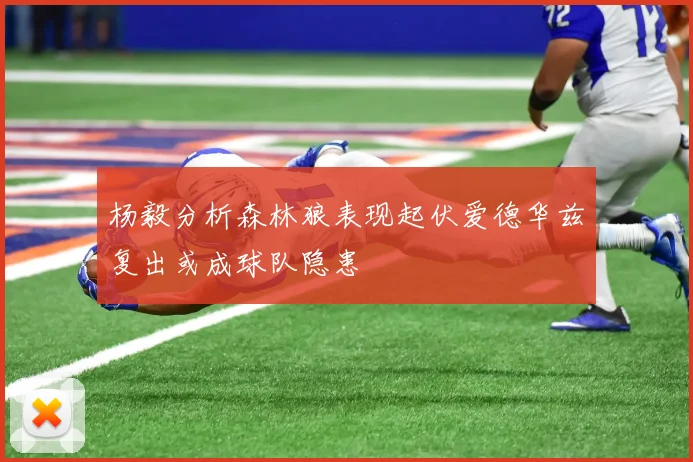 杨毅分析森林狼表现起伏爱德华兹复出或成球队隐患